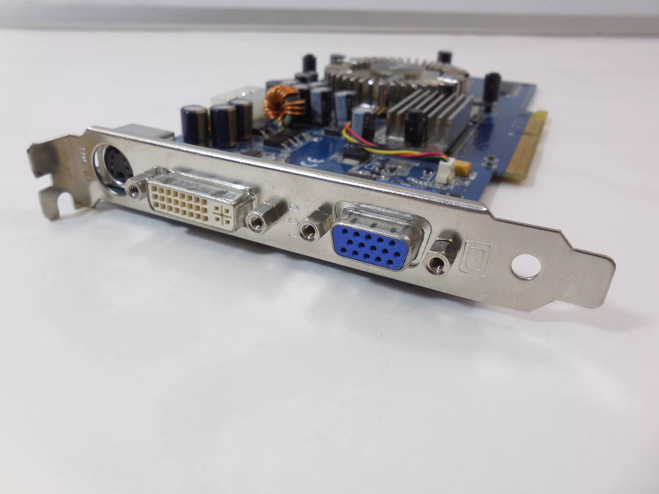 Pci e dvi. Nvidia geforce 6600 pci-e. geforce 6600 pci-e 256mb. asus geforce 6600. asus geforce 6600 256mb.