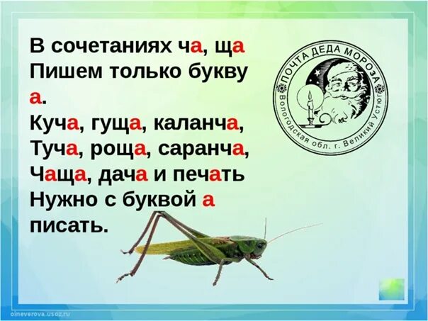 Слово из 5 букв ша а. Ча ща. Правописание ча ща. Сочетания ча ща. Правило ча ща.