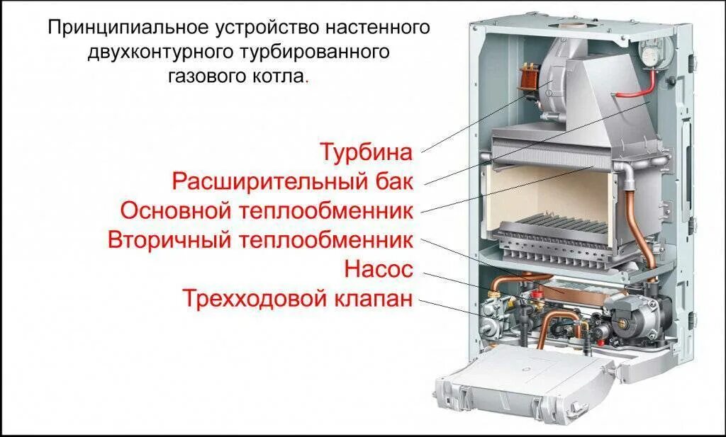 Газовый котел отличия. Котёл Протерм газовый настенный одноконтурный. Принцип устройства двухконтурного котла отопления. Котёл газовый двухконтурный настенный схема. Газовый котел Mora-Top Meteor Plus pk24kt 23 КВТ двухконтурный.