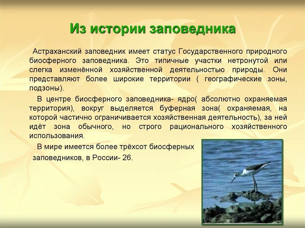 Заповедники доклад 3 класс. Рассказ о Астраханском заповеднике. Астраханский государственный биосферный заповедник. Астраханский биосферный заповедник кратко. Астраханский заповедник презентация.