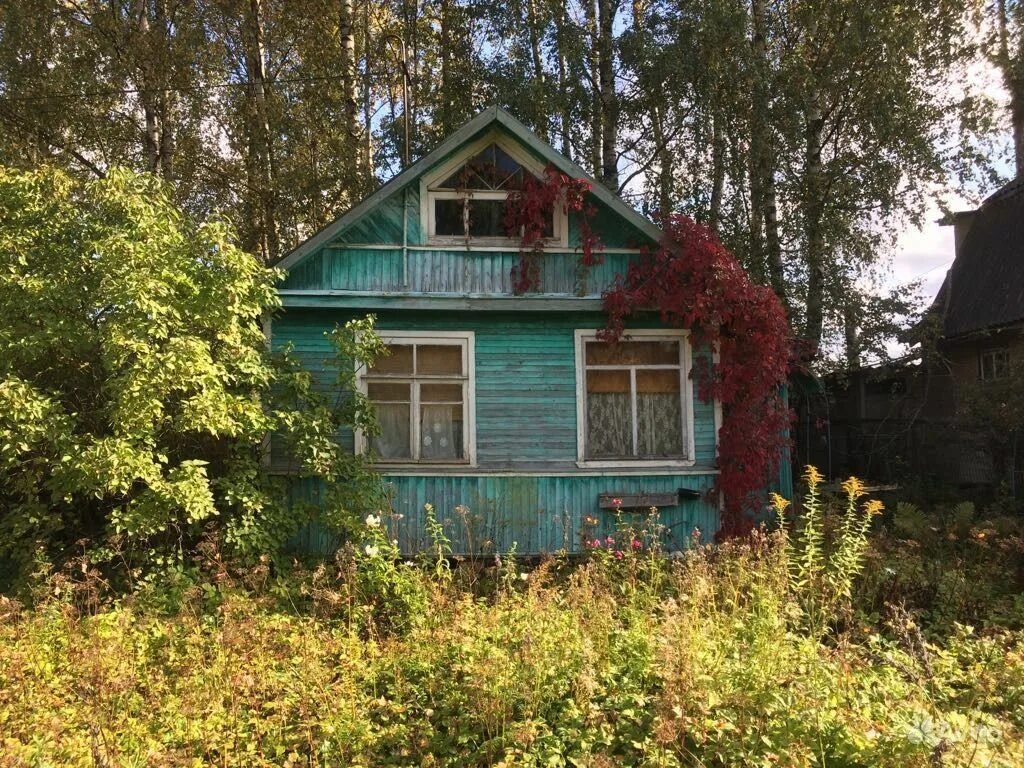 Дачи в Ленинградской области. Садоводства Ленинградской области. Дача Гатчинский район. Дачи в Строганово Гатчинский район.