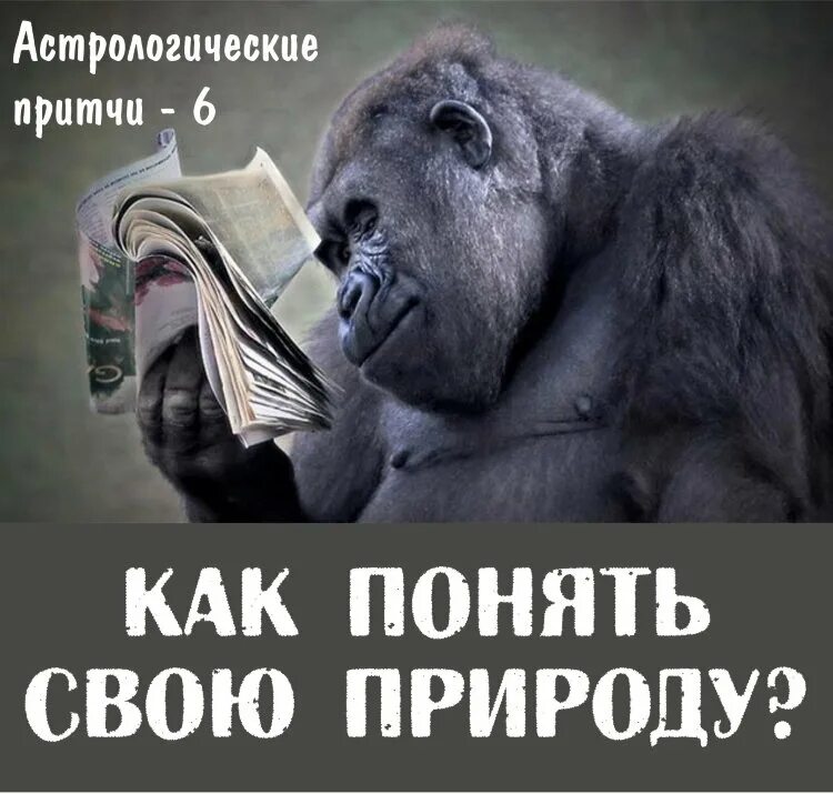 Остались при своем как понять