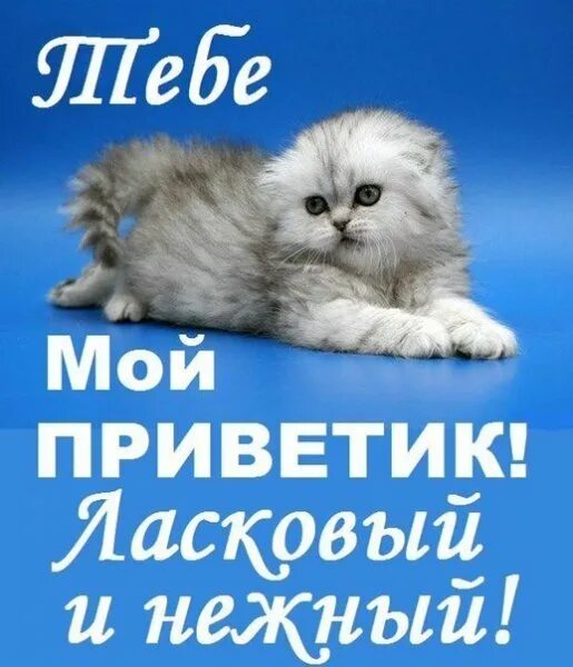 хорошего дня скучаю. открытка «скучаю». сердечко для любимой девушки. скучаю картинки прикольные. открытки я скучаю для мужчины.
