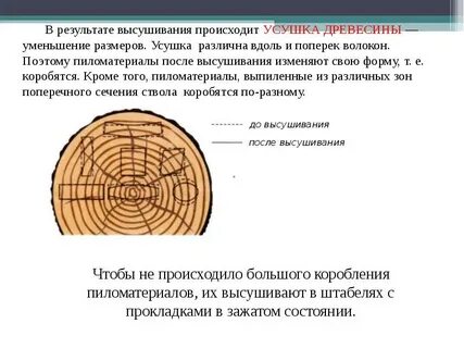 Влияние на свойства древесины