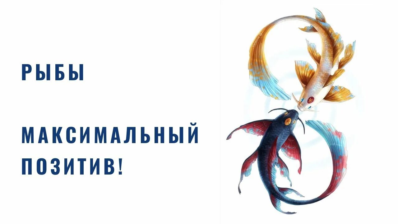 Перл прогноз на 2025 рыбы. 8 марта рыба. с 8 марта рыбка. рыбы. гороскоп 2025. март рыбы.