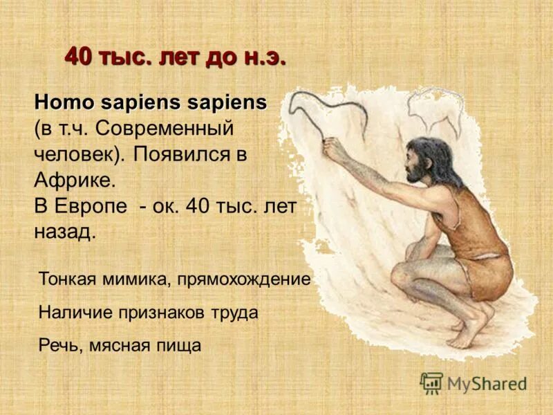 Хомо сапиенс появился в эпоху какого палеолита. Появление homo sapiens. Появление хомосапиенс. Homo sapiens sapiens когда появился. Когда появился хомесапианс.