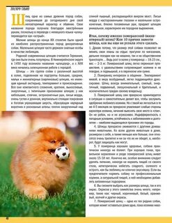 Сколько должен весить померанский шпиц