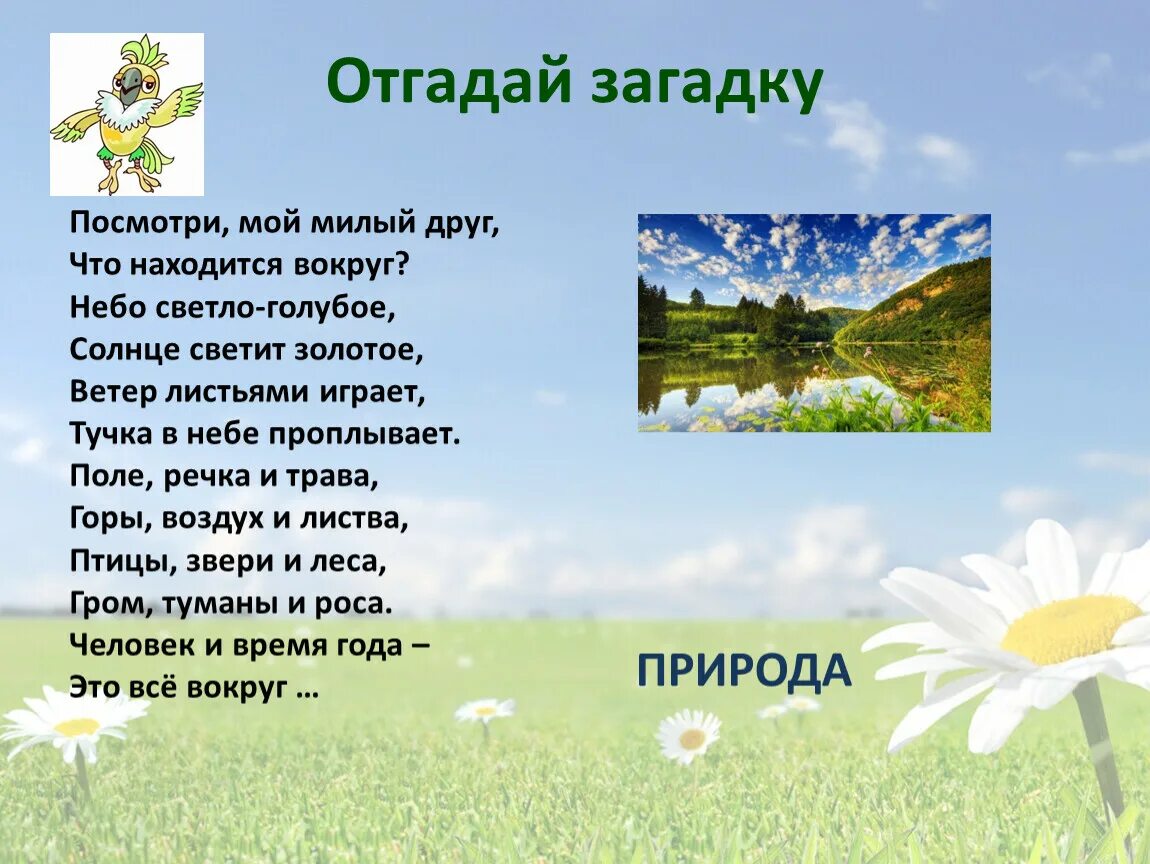 Загадка со словом природа. Загадки природы. Загадки про природу с ответами. Загадки на тему природа. Стихи и загадки о природе.