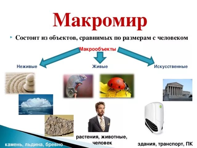 Макромир недвижимость сайт. Макромир примеры объектов. Макромир и микромир. Микромир Макромир и Мегамир. Микро макро и Мегамир.