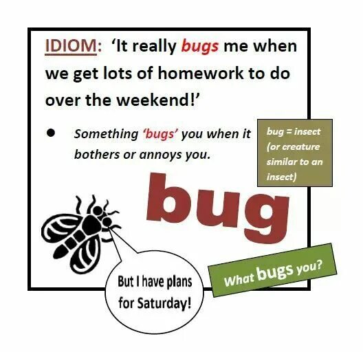 Идиома на английском. Pigs fly идиома. English idioms. Animal idioms in english. When pigs fly idiom.