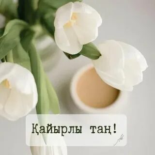 Қоғамдық көлікте жыныстық қатынас туралы тыңшылық