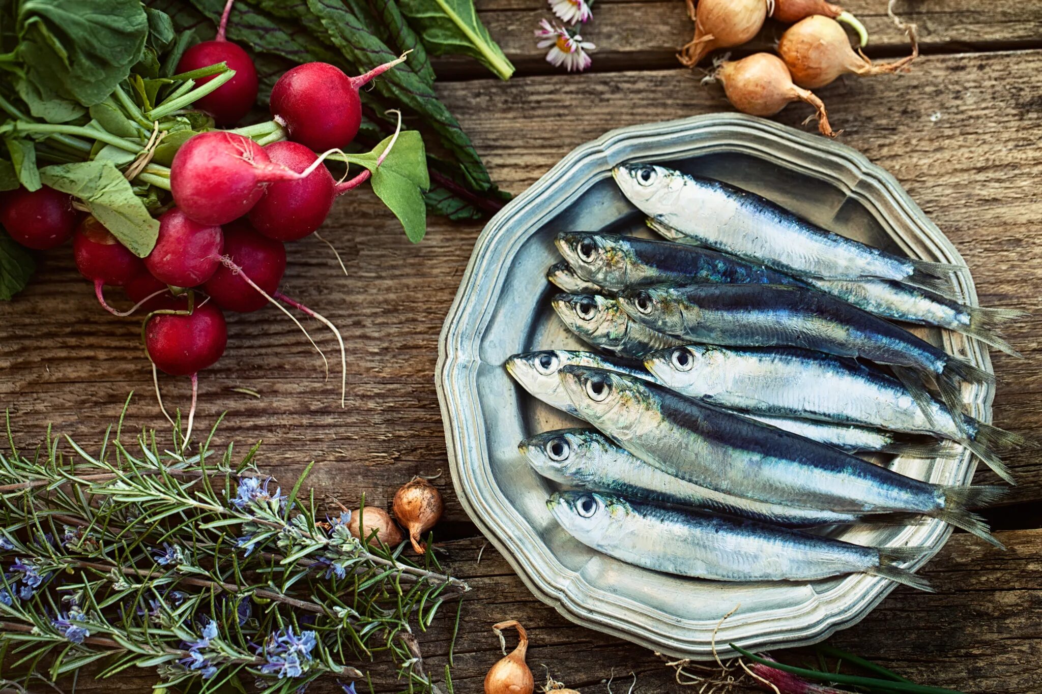 Группы соленой рыбы. Sardalya Sardines. Сельдь Иваси скумбрия. Сардина (Иваси). Сардина Средиземноморская.