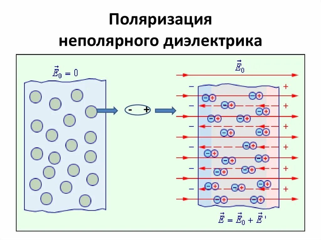 Поляризация диэлектриков физика. Неполярный диэлектрик схема. поляризация полярного диэлектрика схема. поляризация неполярных диэлектриков. электронная поляризация неполярных диэлектриков.
