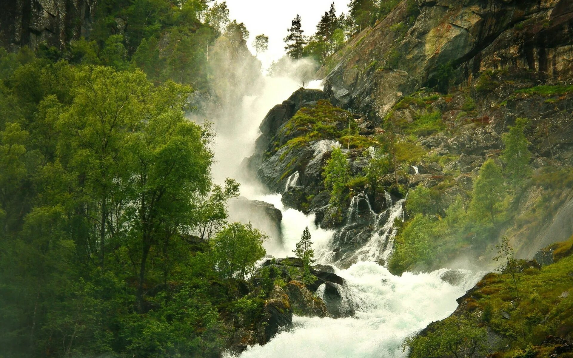 Мощный поток воды. Медвежий водопад Алматы. Водопад Махунцети Батуми. Национальный заповедник Гиффорд Пинчот, Вашингтон, США. Водопад Чжага.