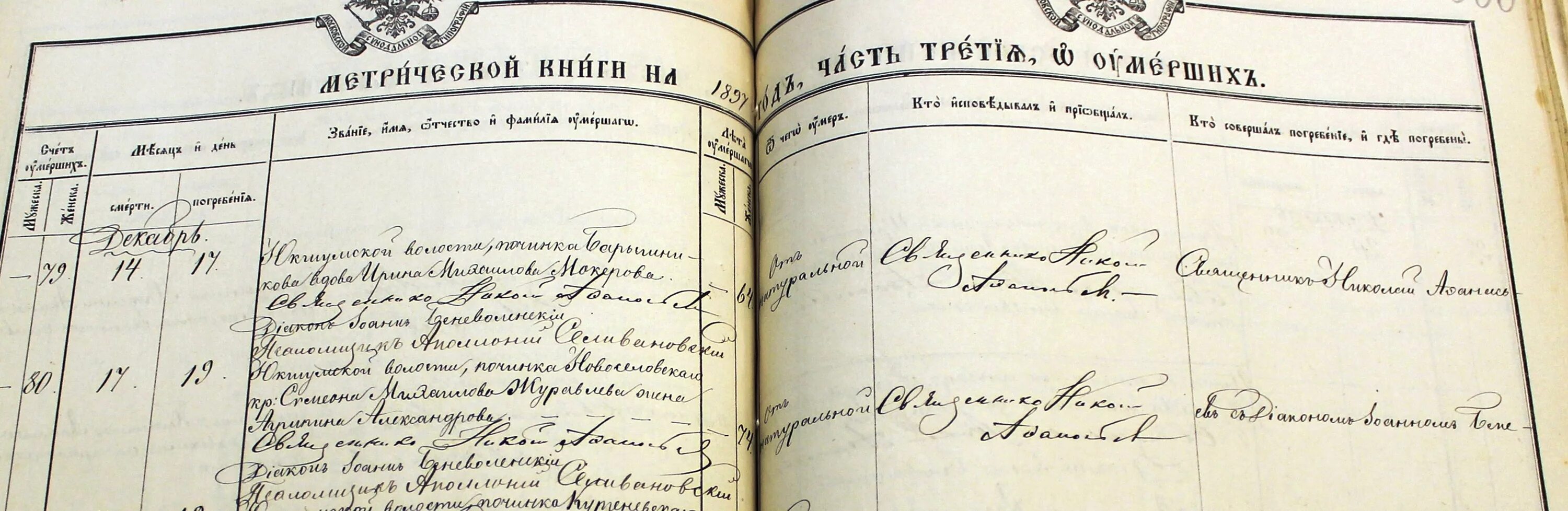 лист метрическиой книгиги. станица метрическая книга. метрические книги станицы барсуковской. метрическая книга церкви покровской. метрические книги 1900.