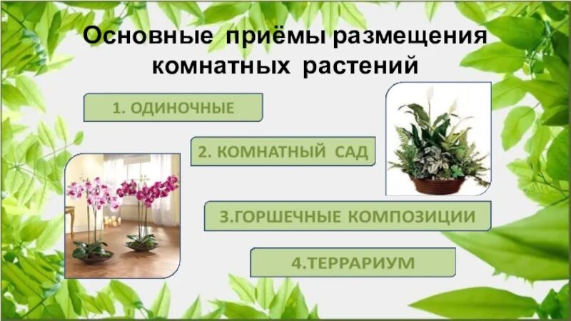 Причины влияющие на размещение растительности