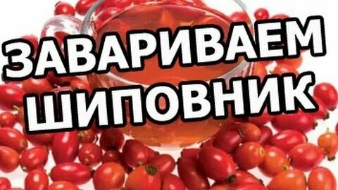 Как правильно заваривать шиповник в чайнике