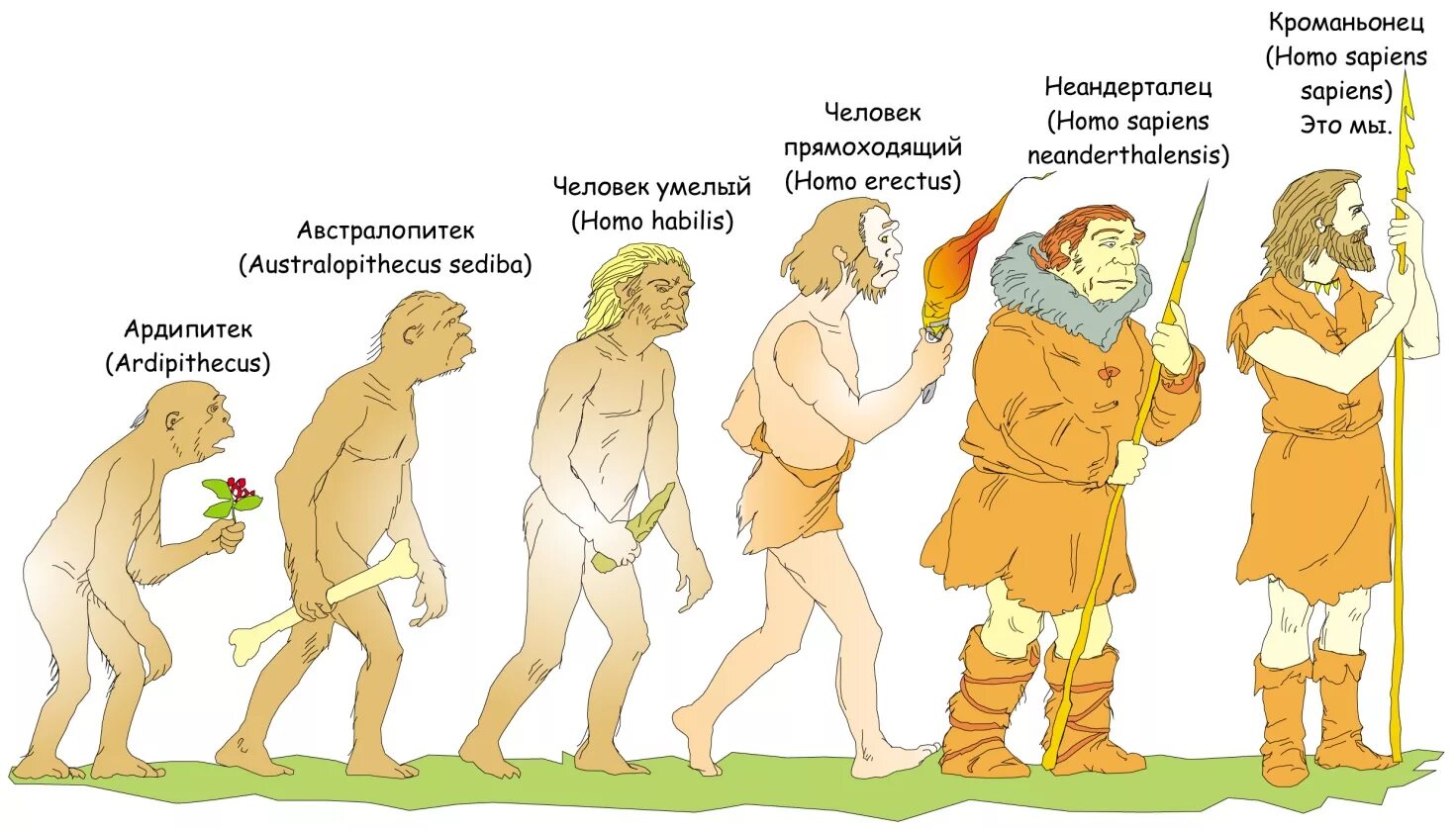 Как раньше назывались люди