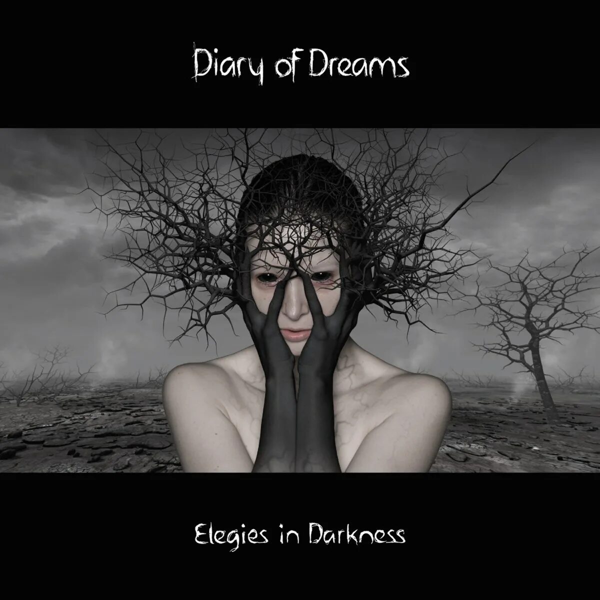 A diary of darkness прохождение. A diary of darkness прохождение где найти свечу. Ответы на игру a diary of darkness. A diary of darkness прохождение. A diary of darkness.