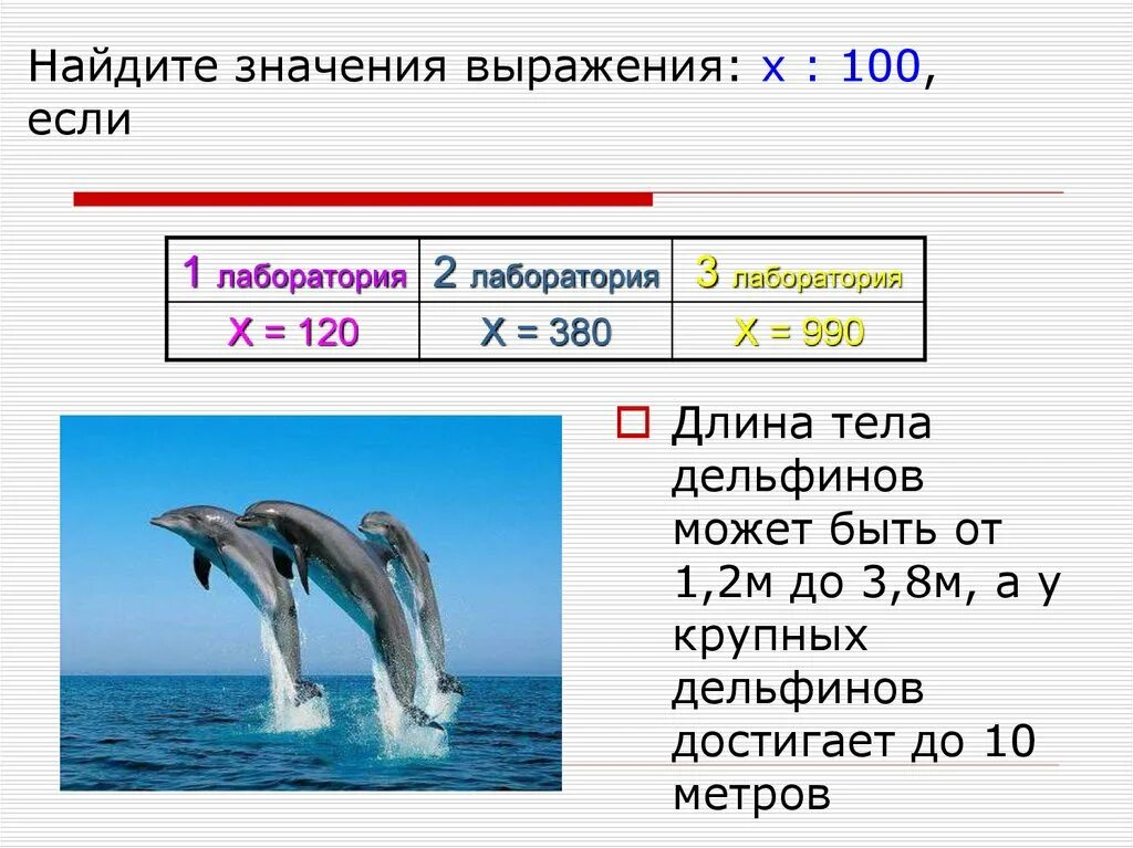 Сколько дельфинов на картинке правильный ответ. Какую скорость развивает Дельфин. Сколько здесь дельфинов картинка правильный ответ. Сколько дельфинов на рисунке. Скорость дельфина в воде