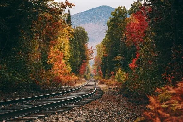 Great Smoky Mountains Railroad Scenic Train RomanticAsheville.com Scenic train r