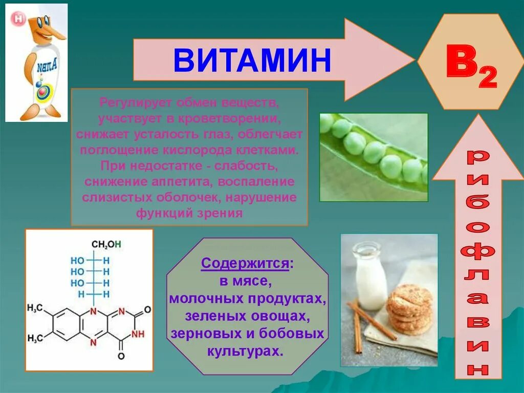 Функции витамина b2 кратко. Витамин b2. Что такое витамины. Витамин b2 (рибофлавин). Витамин б характеристика