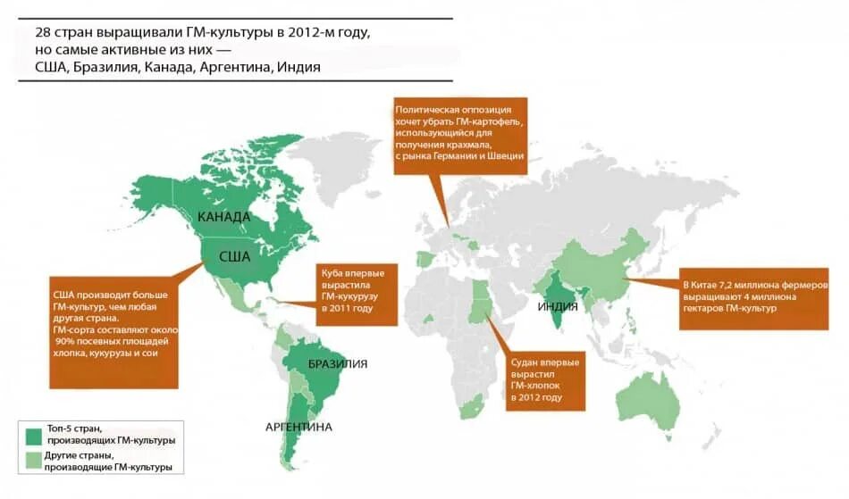 Карта выращивания ГМО. Страны в которых выращивают трансгенные растения. Карта распространения ГМО. Распространение ГМО.