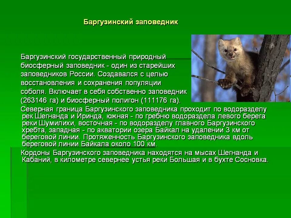 Сообщение про заповедник кратко. Сообщение о заповеднике. Рассказ о заповеднике. Рассказ о заповеднике России. Сообщение олюбом заповеднеке.