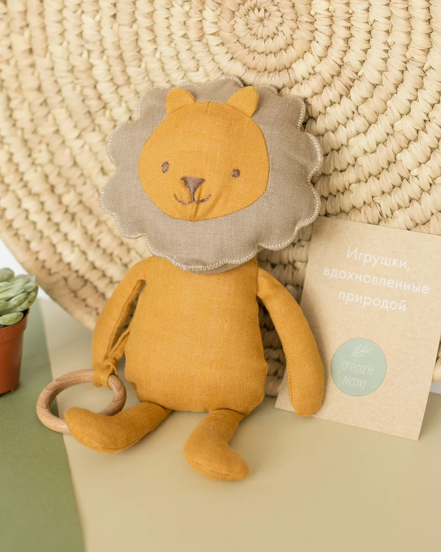 Львы у зоопарка спб. Львята фото. Лев лен. Лев новосибирский зоопарк. Львы у зоопарка спб.