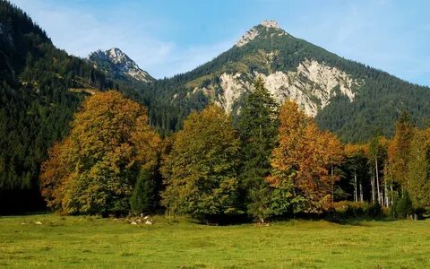 Дубовая гора