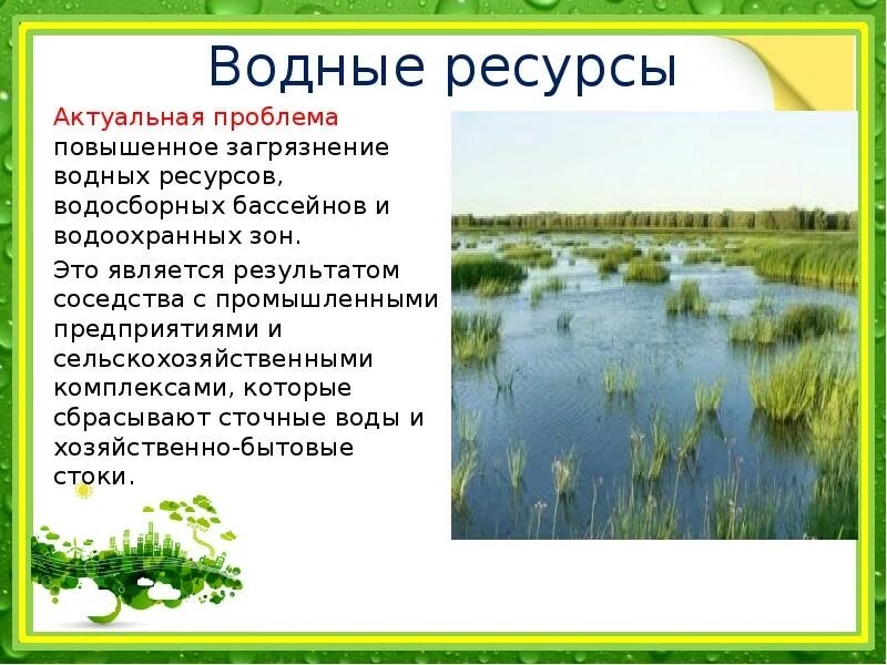 Водные богатства омской области. Экологические проблемы Омской области. Экологическая ситуация в Омской области. Водные богатства. Водные богатства Омского края.