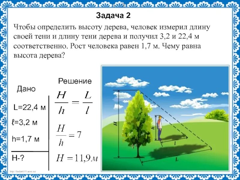 Высота вертикального. Как посчитать высоту дерева. Как определить высоту де. Измерение высоты дерева по тени. Задачи на нахождение высоты предмета.