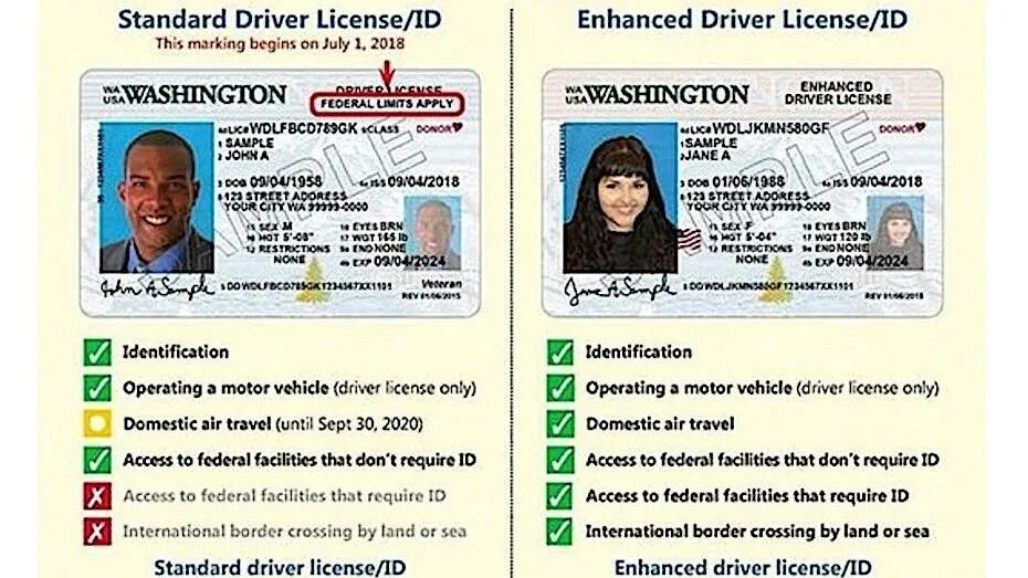 License types. License required. ID Type что это. USA Driving License Exp 2024. ID Type PRPY.