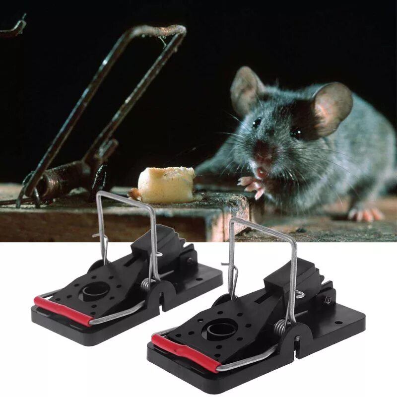 Мышеловка rat&Mouse. Мышеловка rat Mouse, 2 шт пластик. ЛОВУШКА для мышей. Мышь в мышеловке.