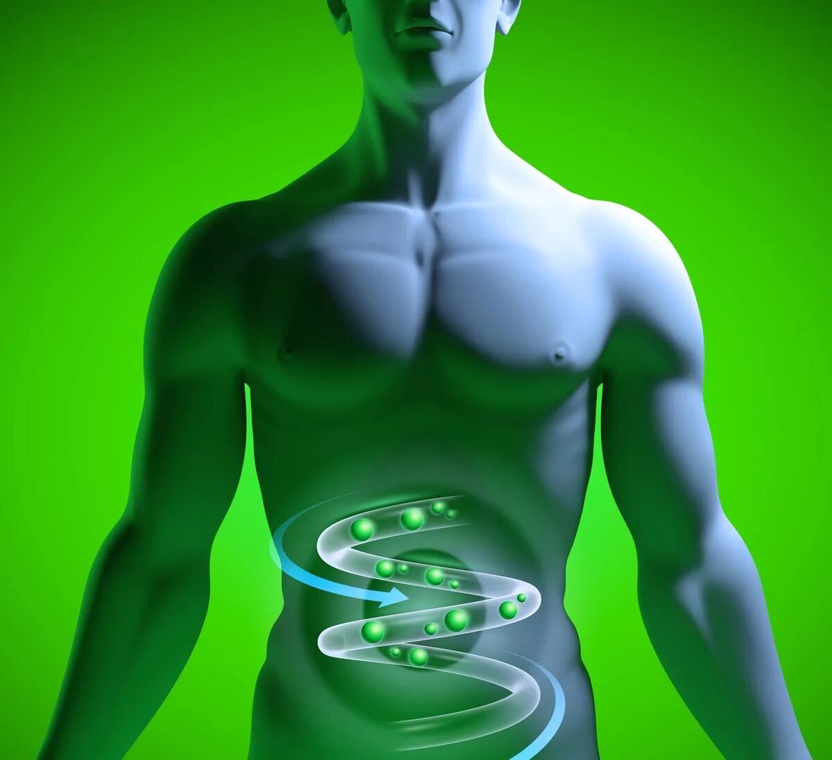 Анатомия человека. Анатомия человека. Тело человека. Прийти организм. Организм человека.