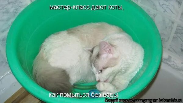 Помыться как пишется