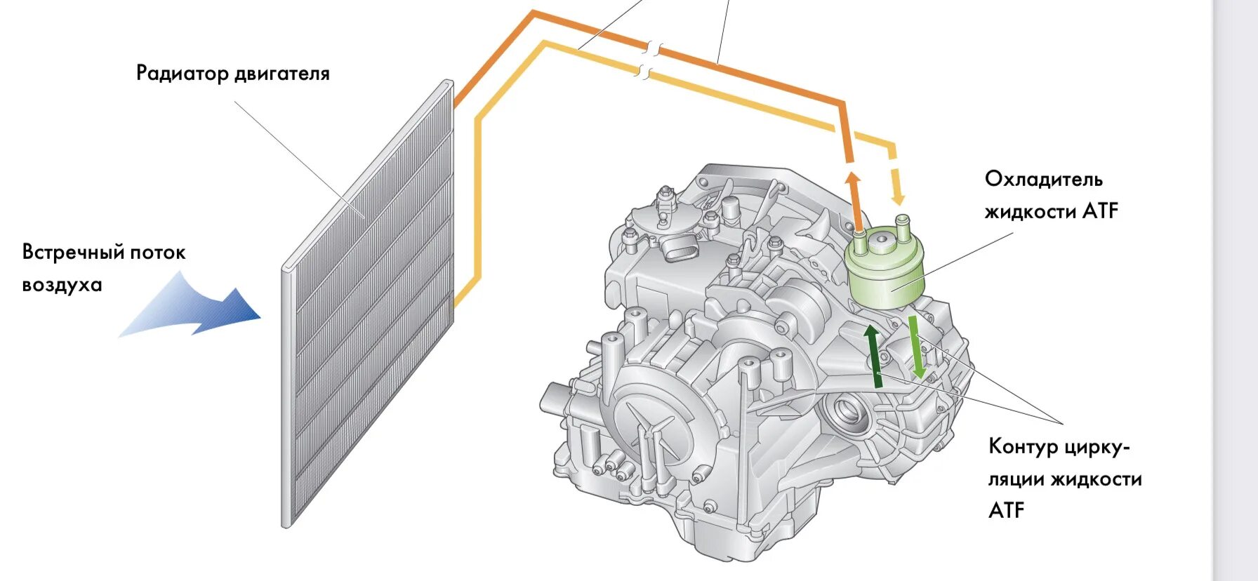 Система охлаждения АКПП 09g.