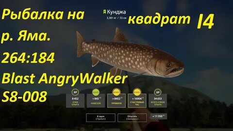 Яма рыбалка