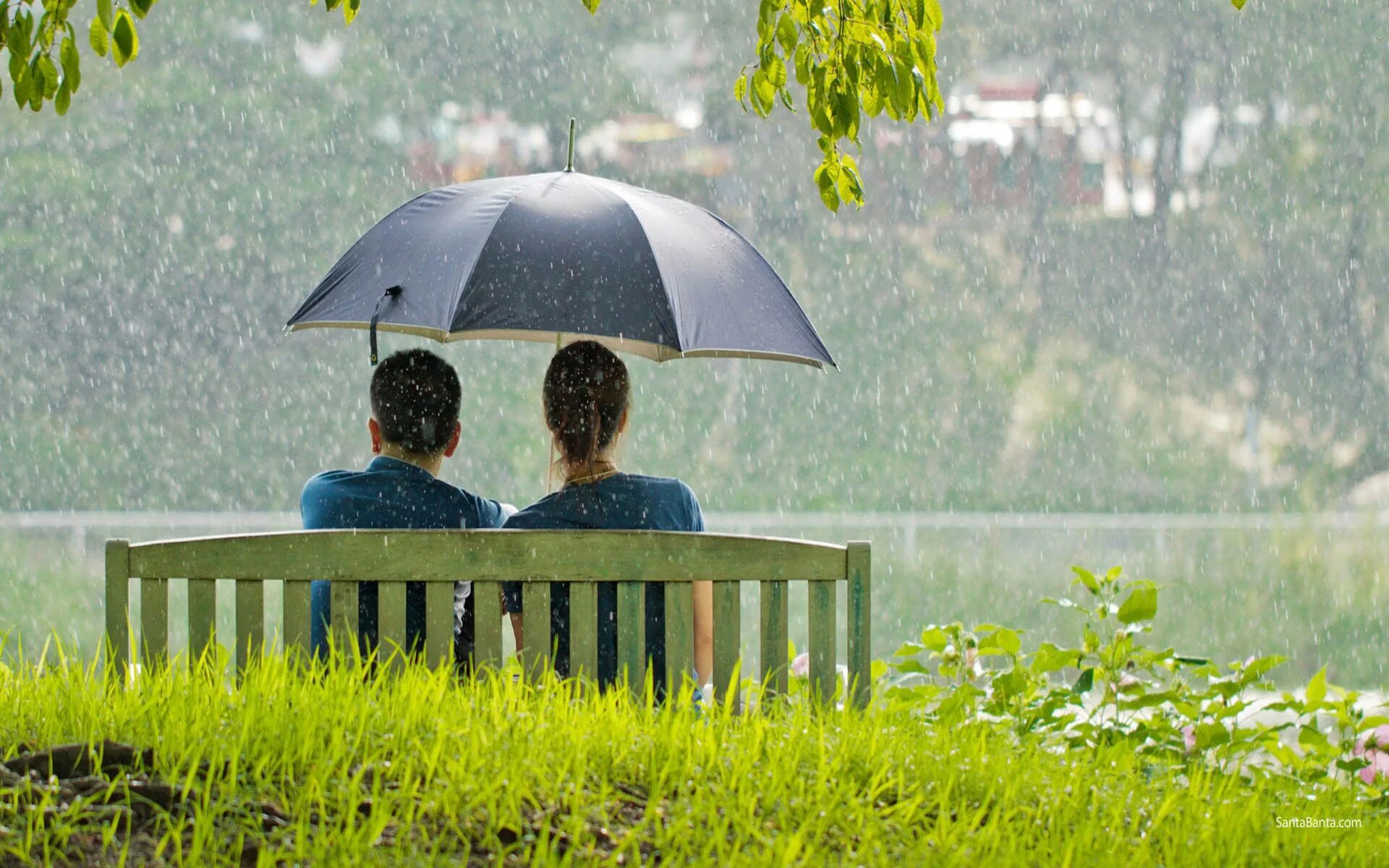 Looking for the rain. Под дождем. Дождь романтика. Пара на лавочке под зонтом. Скамейка с зонтиком.