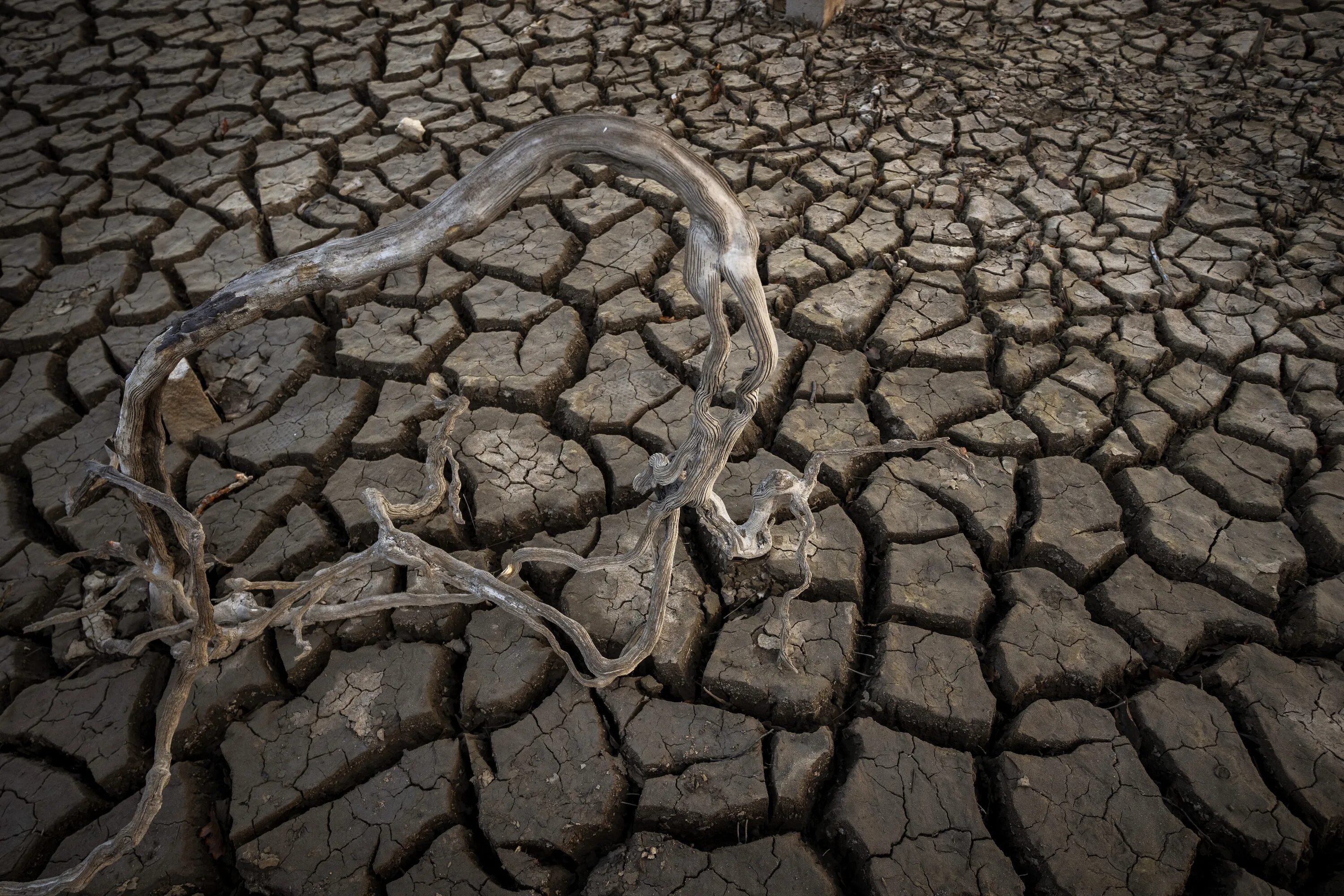 Засуха значение. Засуха в Испании 2022. Зимняя засуха. Засуха в Европе. Засуха в Испании 2023.