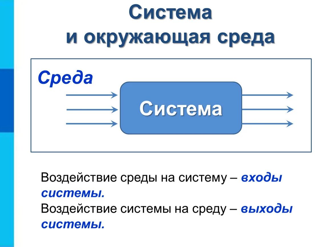 Системы объектов Информатика 6 класс. Среда системы. Системы объектов. Система и окружающая среда.