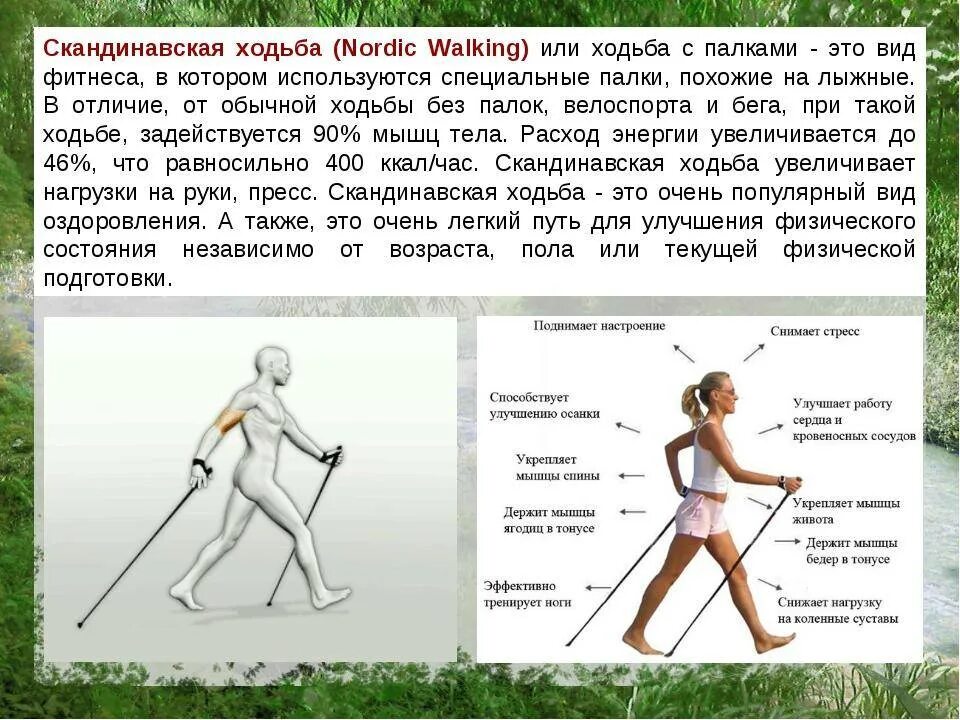 Скандинавская польза вред. Финская ходьба с палками техника. Техника скандинавской ходьбы для начинающих с палками для похудения. Правильная ходьба со скандинавскими палками. Скандинавская ходьба польза.