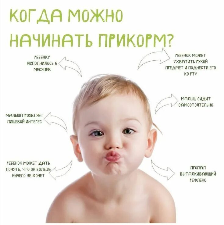 Как давать прикорм кусочками. Прикорм. самоприкорм blw. прикорм ребенка. кусочки в прикорм ребенку.