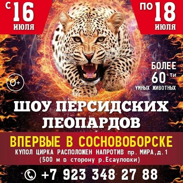 Цирк золотой дракон петрозаводск. Цирк золотой дракон петрозаводск. Цирк золотой дракон уфа. Цирк золотой дракон купол. Цирк золотой дракон стерлитамак.