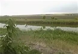 Погода весело вознесенке ростовской области. Весело Вознесеновка Неклиновского района. Весёло-Вознесенка Ростовская. Село весело-Вознесенка Неклиновский район Ростовская область Россия. Весело Вознесенка фото.