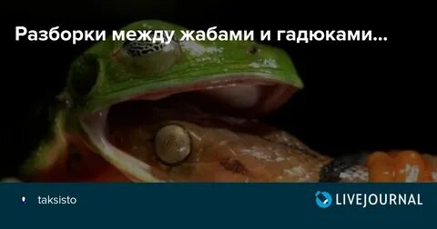 Жаба и гадюка