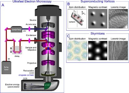 Transmission microscopy