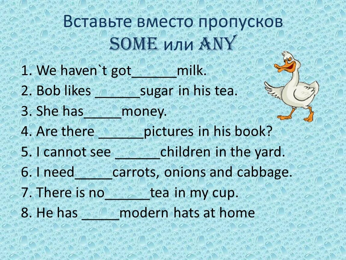 Some any в английском языке упражнения. Упражнения на some any no в английском языке. Упражнения для 3 класса some any по английскому языку. Some any правило упражнения 5 класс.