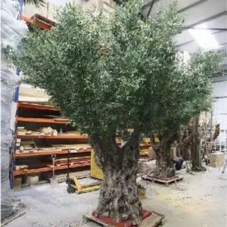 i?id=58a8d65a557dfc9340eb170284c28da0c47e05ab-4599655-images-thumbs&n=13