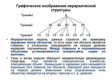 Иерархическая организация природы